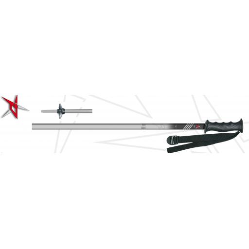 PAIR of SKI POLES-PRICE FOR CUSTOMERS PURCHASING SKIS ONLY