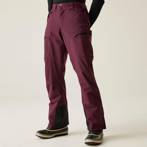 Men's Dare2b BASEPLATE II FIG  Ski Board Pant - SHORT LEG EXCLUSIVE