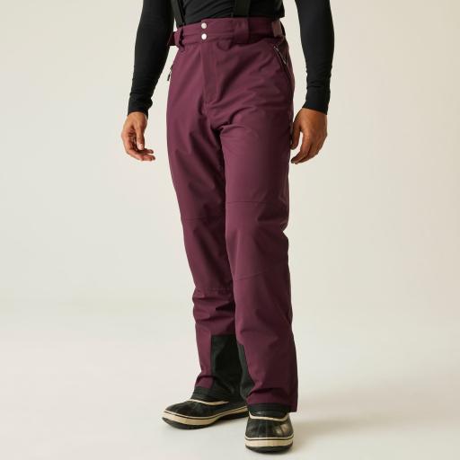 Mens Dare2b ACHIEVE II Fig Plum - Soft Shell Ski Pant- Short Leg